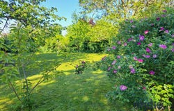 AMBLAINVILLE, Hauts-de-France 60110