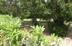 Moustey, Nouvelle-Aquitaine 40410