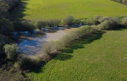 GENOUILLE, Poitou-Charentes 86250