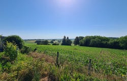 Les Essards, Poitou-Charentes 16210