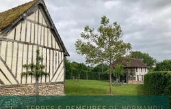 Livarot, Calvados 14140
