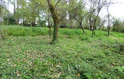 Morbihan, Brittany 56800