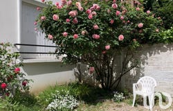 La Garenne-Colombes, Île-de-France 92250