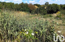 Saint-Prouant, Pays de la Loire 85110