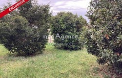 Triaize, Pays de la Loire 85580
