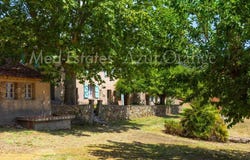 Grimaud, Provence-Alpes-Côte-d'Azur 83310