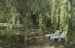 DURFORT LACAPELETTE, Occitanie 82390