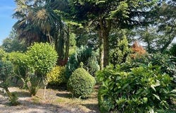 Questembert, Bretagne 56230
