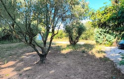 Saze, Gard 30650