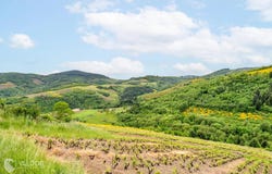 Vaux-en-Beaujolais, Rhône 69460