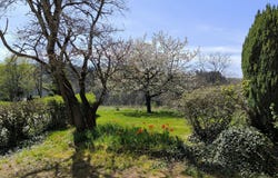 Coublanc, Burgundy 71170