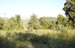 Salernes, Var 83690