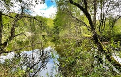 Nabirat, Aquitaine 24250