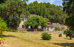 Grimaud, Provence-Alpes-Côte-d'Azur 83310