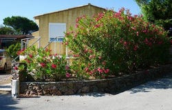Roquebrune-sur-Argens, Roquebrune-sur-Argens, Provence-Alpes-Côte d'Azur 83390