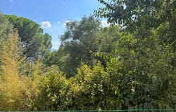 Grimaud, Var 83310