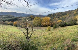 SAINT JULIEN, Occitanie 34390