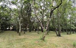 Saint-Siffret, Occitanie 30700