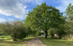 La Ferté-Saint-Cyr, Centre 41220