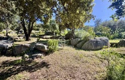 Corbara, Corsica 20256