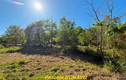 Vendays-Montalivet, Nouvelle-Aquitaine 33930