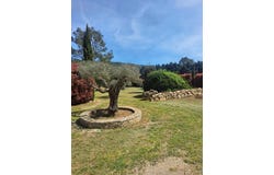 Lorgues, Provence-Alpes-Côte d'Azur 83510