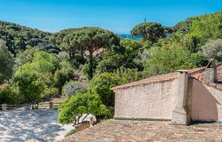 Ramatuelle, Provence-Alpes-Côte d'Azur 83350