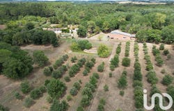 Saint-Papoul, Occitanie 11400