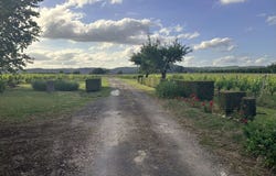 Vire-sur-Lot, Midi-Pyrénées 46700