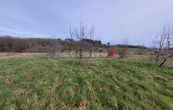 Gaillac, Tarn 81600