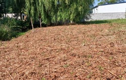 Saint-Nicolas-de-Redon, Pays de la Loire 44460