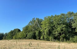 MONTAGNAC SUR LEDE, Nouvelle-Aquitaine 47150