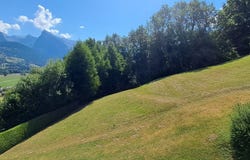 Morillon, Auvergne-Rhône-Alpes 74440