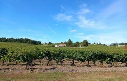 Jonzac, Charente-Maritime