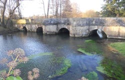Salles, Poitou-Charentes 79800