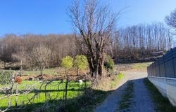Chirens, Rhône-Alpes 38850