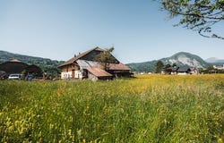 Taninges, Auvergne-Rhône-Alpes 74440
