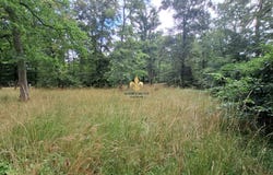 Lamorlaye, Oise 60260