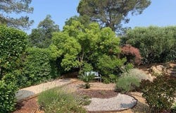 Pierrefeu-du-Var, Provence-Alpes-Côte-d'Azur 83390