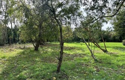 Ploemeur, Morbihan 56270
