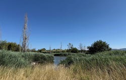 Saint-Cyprien, Languedoc-Roussillon 66750