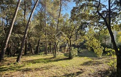 SAINT CLEMENT DE RIVIERE, Occitanie 34980