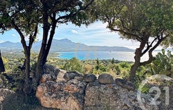LUMIO, Corsica 20260