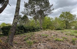 BALIZAC, Nouvelle-Aquitaine 33730