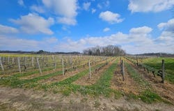 Ordonnac, Aquitaine 33340