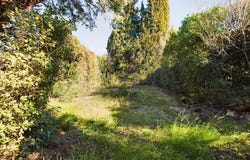 Les Angles, Occitanie 30133
