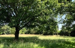 Saint-Germain-Du-Bois, Bourgogne 71330