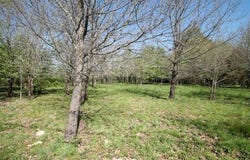 CASTELJALOUX, Aquitaine 47700
