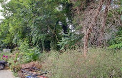 Les Mureaux, Yvelines 78130