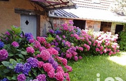 Saint-Amand-en-Puisaye, Bourgogne-Franche-Comté 58310